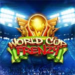 WORLD CUP FRENZY MC